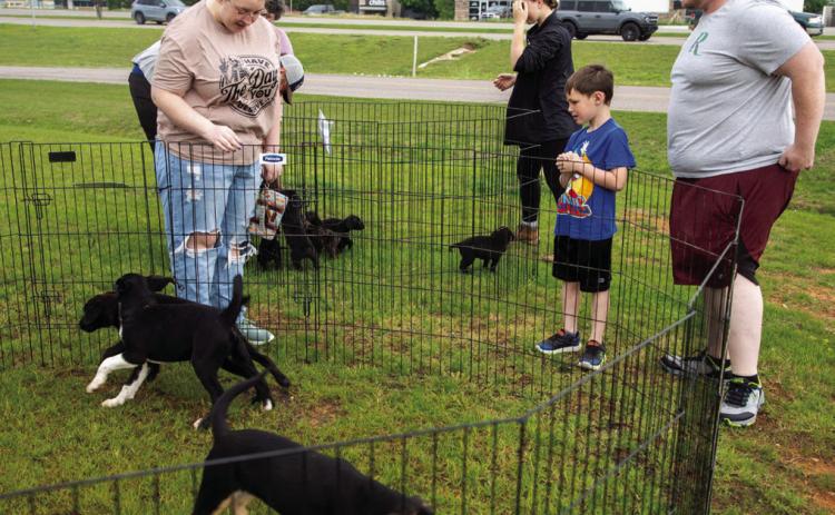 Durant Animal Shelter, PetSense team up for pet adoption