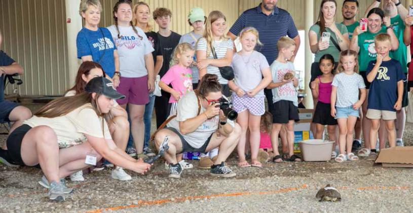 The Durant Area Chamber of Commerce Magnolia Festival turtle race was Saturday morning at the Choctaw Event Center. On the left is Chloe Hughes, director of membership and marketing for the Durant Area Chamber of Commerce. Taking pictures is Sierra Haney. The annual Magnolia Festival included live music, more than 150 vendors and a food truck city. Matt Swearengin | Durant Democrat