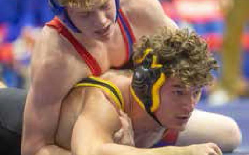 Lion grapplers topple Madill