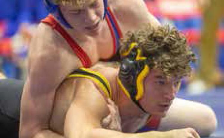 Lion grapplers topple Madill