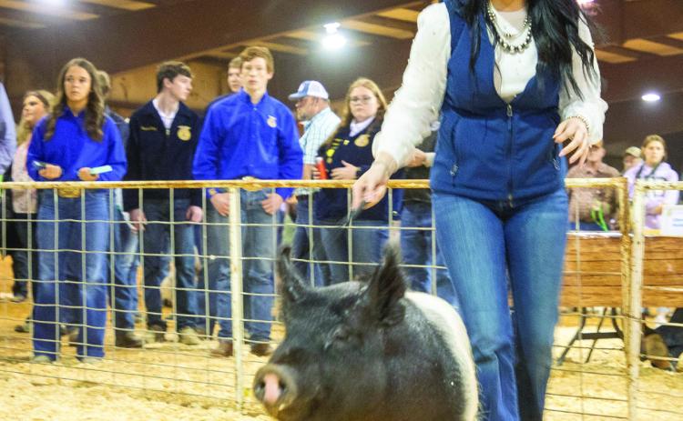 Kaitlyn Dufur of Caddo shows her grand champion barrow during the Bryan County Junior Livestock Show Premium Sale Monday evening at the fairgrounds.
