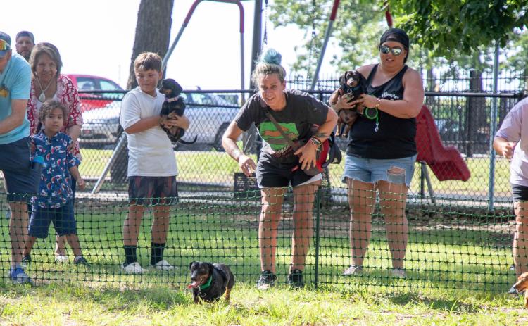A weenie dog race and costume contest were among activities during The Mission’s second annual Summer Bash June 29 at Carl Albert Park that raises funds to allow the organization to help the homeless. The event raised $2,090. Matt Swearengin | Durant Democrat