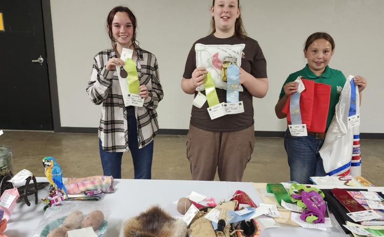 Congratulations to all Bryan County 4-H members whose fair exhibits went to the Oklahoma State Fair held in Oklahoma City. Many of the 4-H exhibitors won ribbons at the state fair. Photo provided