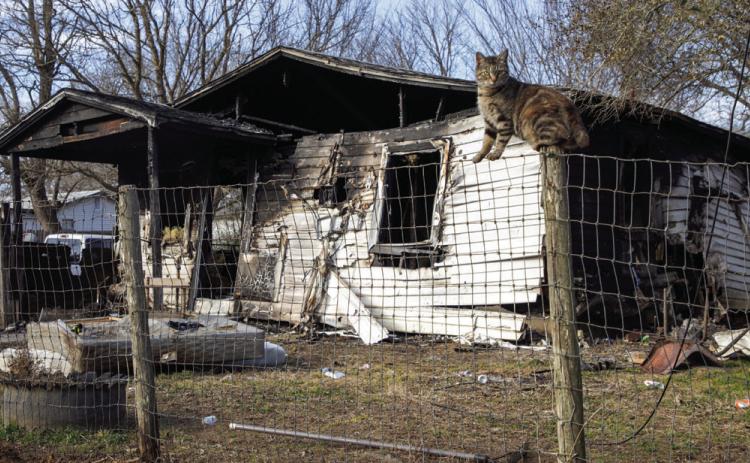 A cat sits on a fence post at 108 W. Georgia St. where there was an explosion that burned a man after he lit incense. Matt Swearengin | Durant Democrat