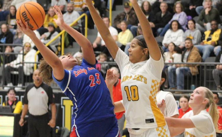 Lady Lion Abrianna Freeman faces a Lady Wildcat during the Madill Classic. Kevin Farr | For the Democrat
