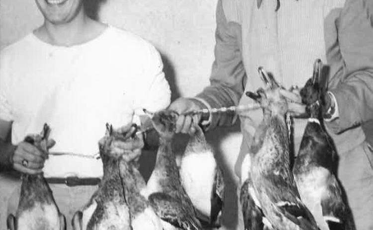 Bob Story, left, is shown after a successful hunt with Dr. Clay. Photo provided