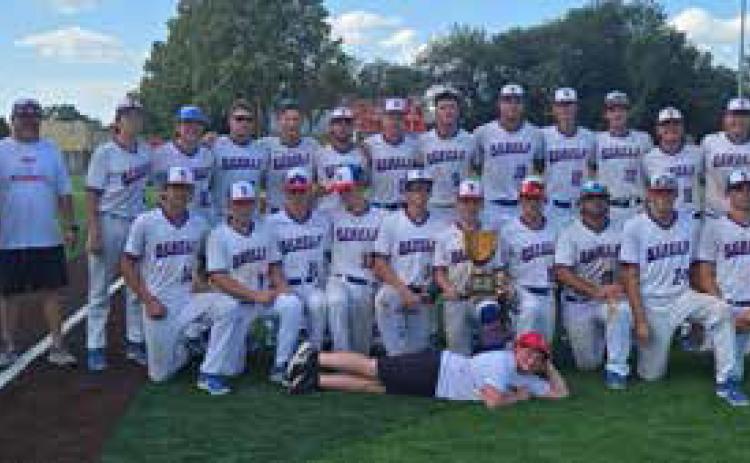 The Silo Rebels are the Dale Tournament champions. Photo provided