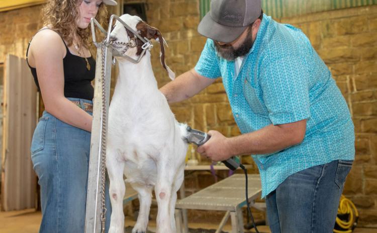 Emma Garner and JJ Bull groom a goat during the Bryan County Free Fair.