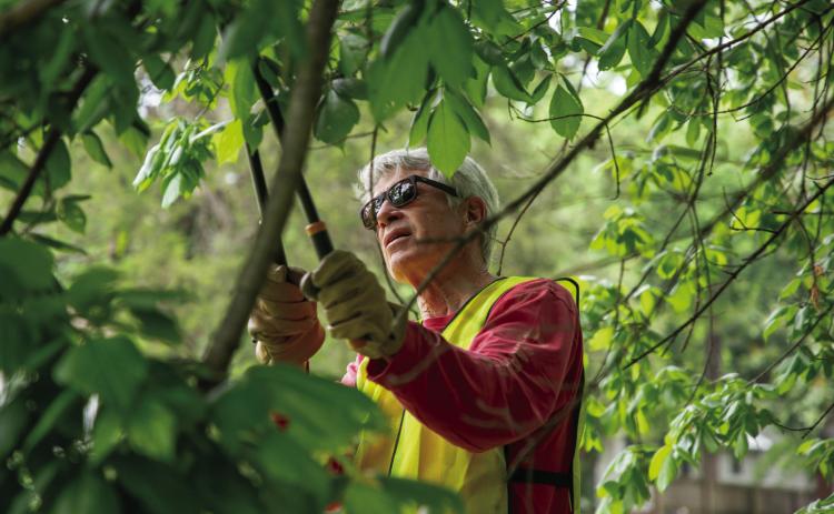 Mark Mesiti-Miller of the Durant Sustainability coalition was one of the volunteers who removed invasive species from the stream near Schuler Park. Matt Swearengin | Durant Democrat