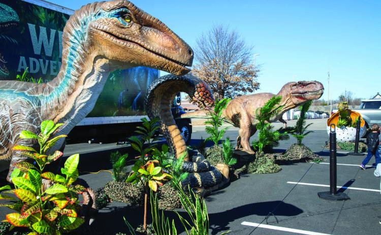 The I Heart Cookies Wild Adventures: A Smart Zoo Experience was at the Lowe’s parking lot in Durant on Saturday. The event featured realistic and fully animatronic animals, including lions, tigers, elephants, a smoke- breathing king cobra and dinosaurs. Matt Swearengin | Durant Democrat
