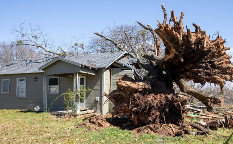 Storm blows through area