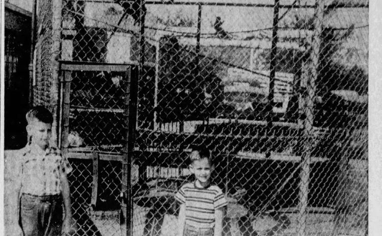 Goodman’s menagerie included monkeys that were once at a Durant park